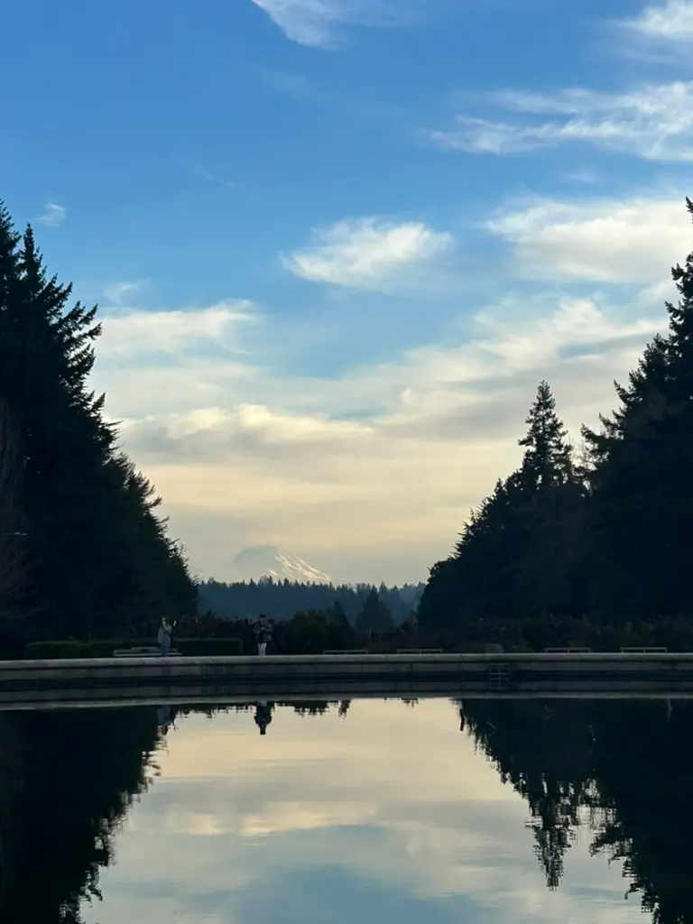 Mount Rainier framed by evergreens, reflected in a still pool